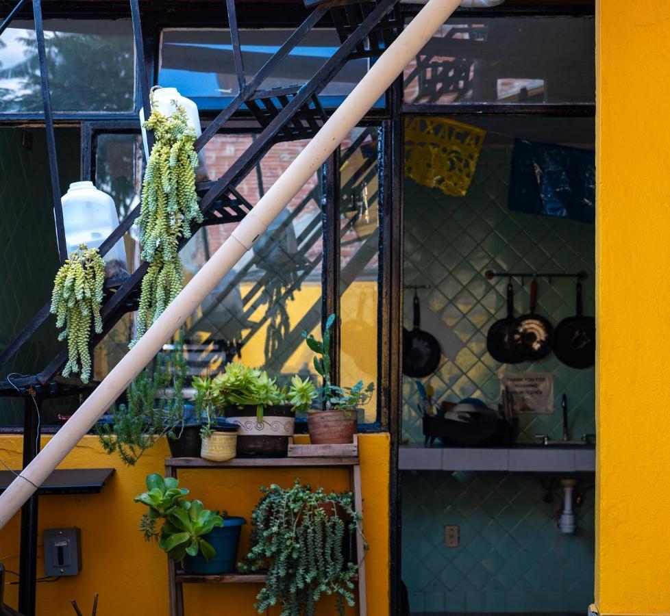 Hostal Pochon Oaxaca Eksteriør billede