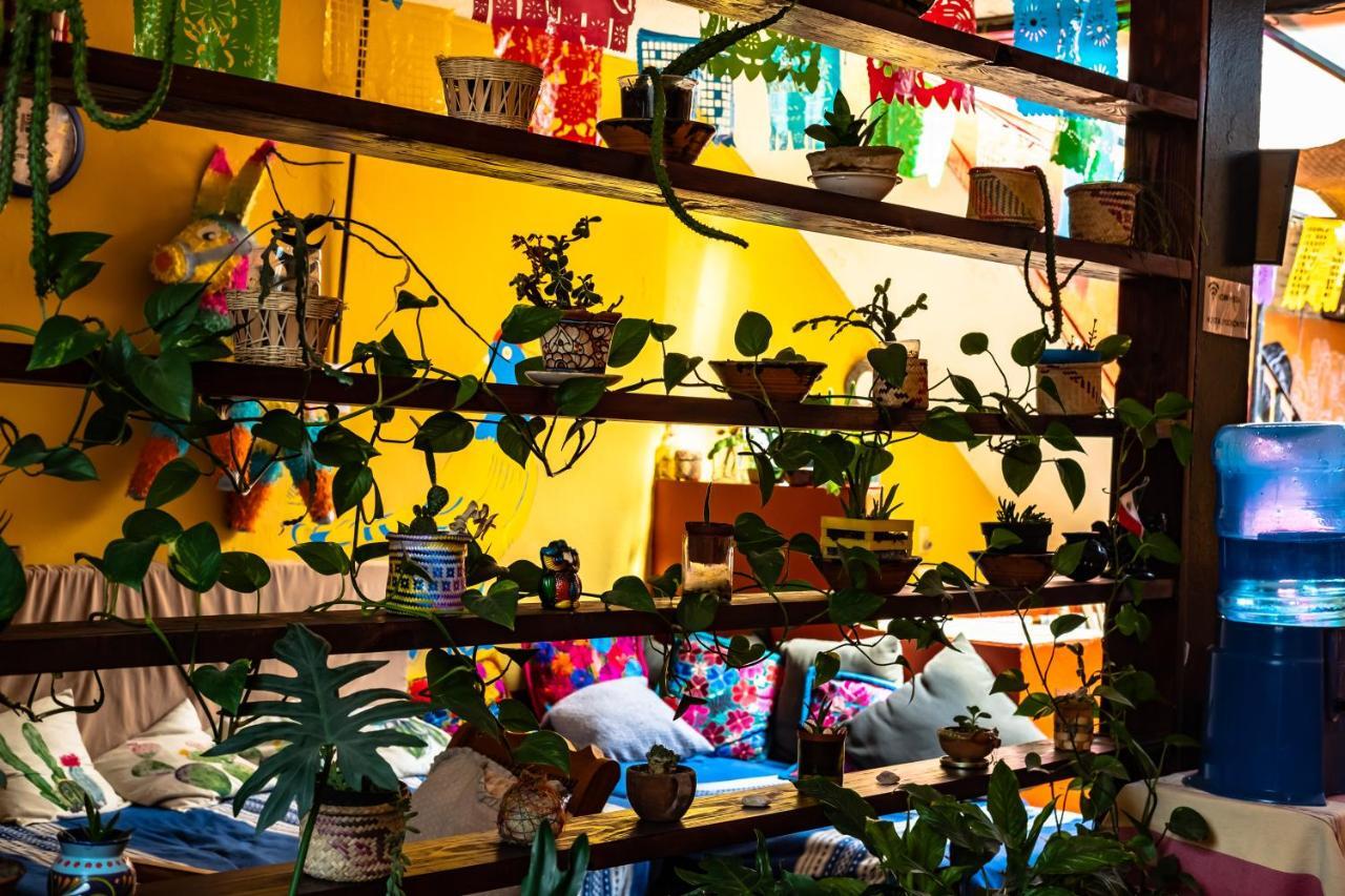 Hostal Pochon Oaxaca Eksteriør billede