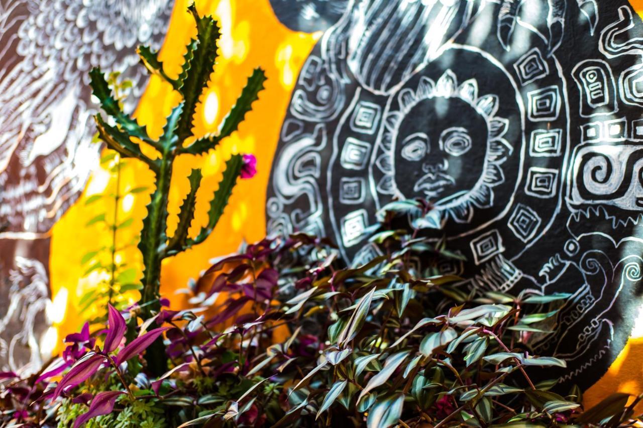 Hostal Pochon Oaxaca Eksteriør billede